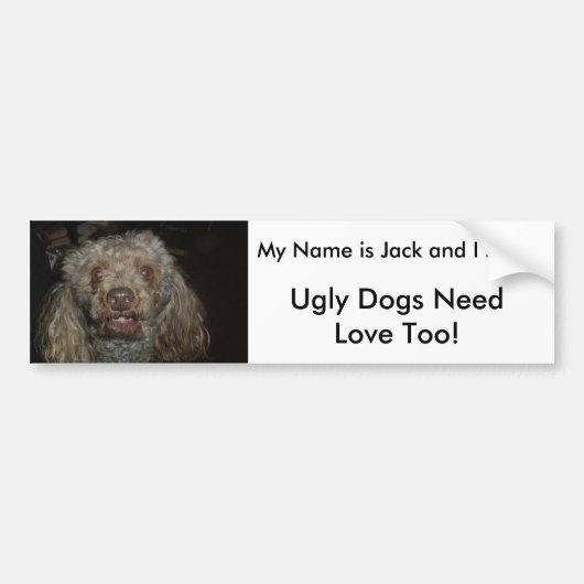 jbeer1, lelijke honden hebben ook liefde nodig! Mi Bumpersticker (Voorkant)