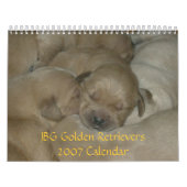 JBG Golden Retrievers Agenda 2007 Kalender (Hoes)