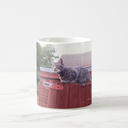 JD de kat mok (Center)