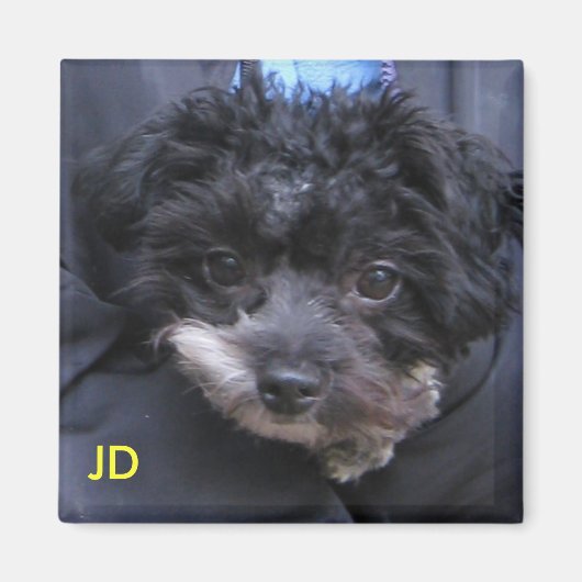 JD MAGNEET (Voorkant)