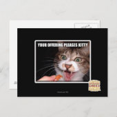 Je aanbieding is een Kat Briefkaart (Voorkant / Achterkant)