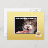 Je aanbieding is een Kat Briefkaart (Voorkant / Achterkant)