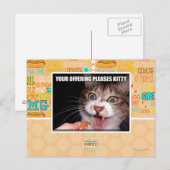 Je aanbieding is een Kat Briefkaart (Voorkant / Achterkant)