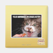 Je aanbieding is een Kat Magneet (Voorkant)