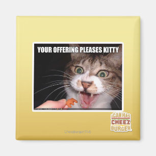 Je aanbieding is een Kat Magneet