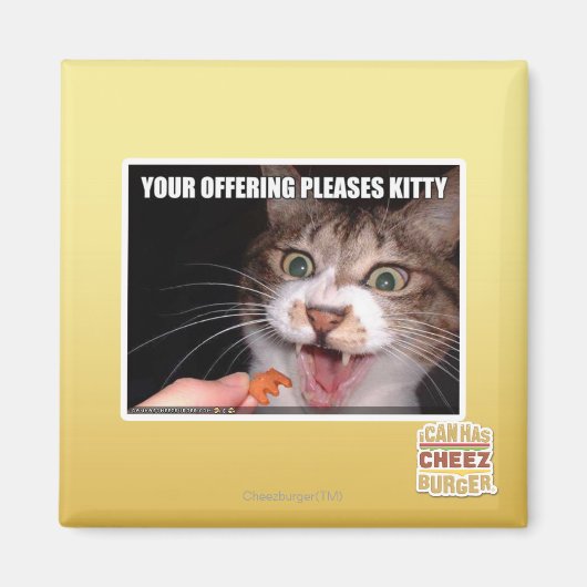 Je aanbieding is een Kat Magneet (Voorkant)