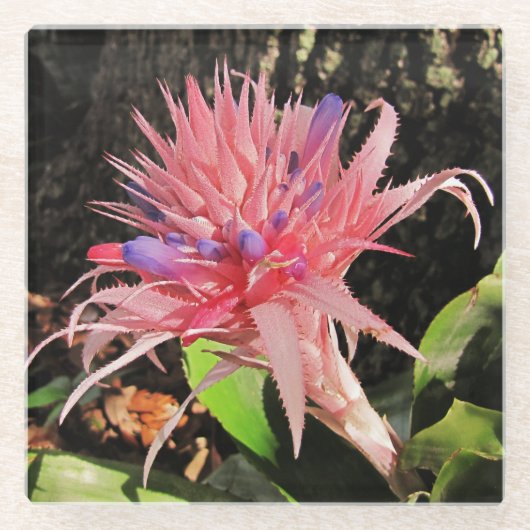 Je aangepaste Glass Onderzetter Glazen Onderzetter (Voorkant)