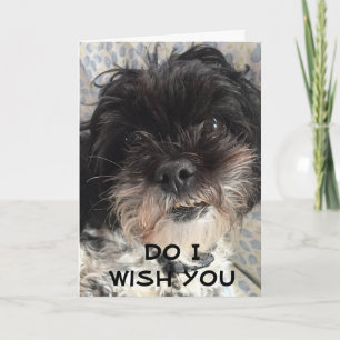 JE BECHA DAT IK JE EEN *HAPPY BIRTHDAY* WIL. KAART