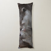 Je bedoelt een otterwereld voor mij, otters houden lichaamskussen (Achterkant (Verticaal))