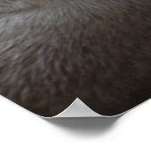 Je bedoelt een otterwereld voor mij, otters houden poster (Hoek)