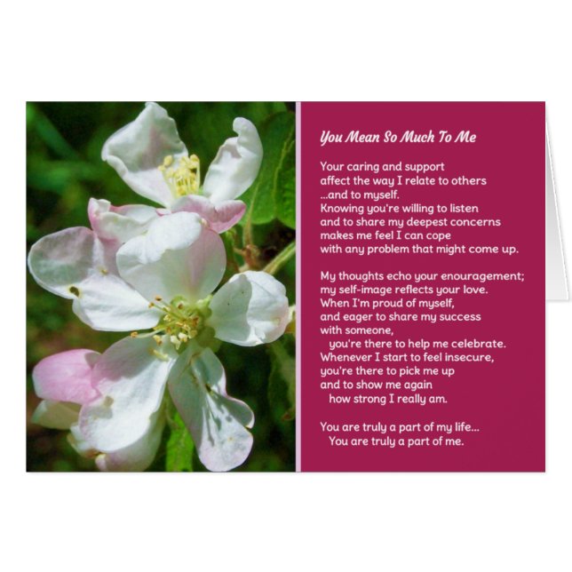 Je bedoelt zo veel voor mij (Voorkant Horizontaal)