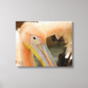 Je bekijken Pelican Canvas afdrukken