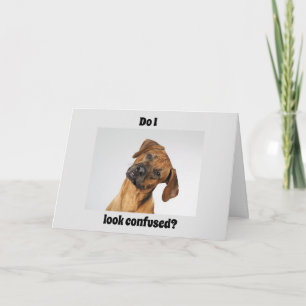 JE BENT '16' ZEGT EEN BELANGRIJKE BIRTHDAY! KAART