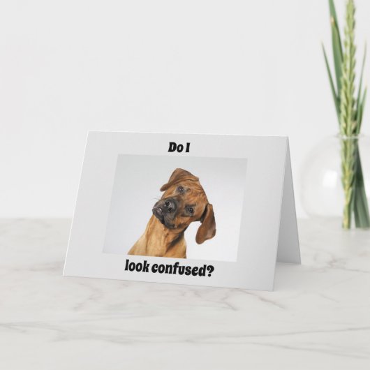 JE BENT '16' ZEGT EEN BELANGRIJKE BIRTHDAY! KAART (Voorkant)