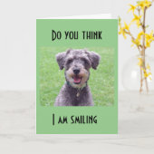 JE BENT 1 JAAR OUDER, NIET IK KAART (Gele Bloem)