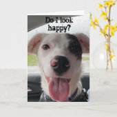 JE BENT **60** MAAKT ME NATUURLIJK BLIJ MET DE KAA KAART (Gele Bloem)