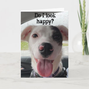 JE BENT **60** MAAKT MIJ VERDWIJNEN VAN EEN NATUUR KAART