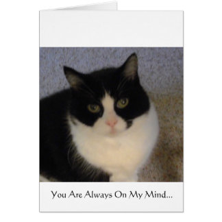 Je bent altijd in mijn gedachten