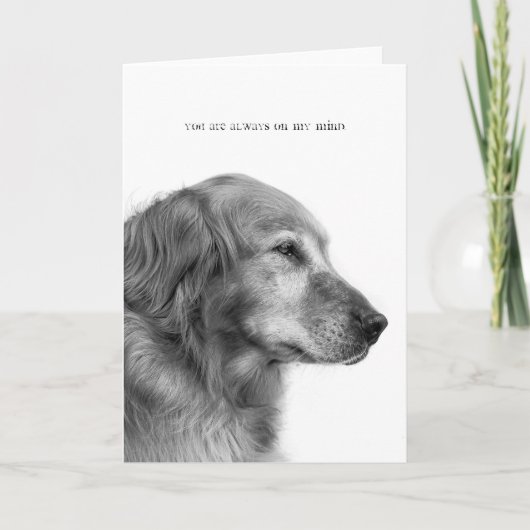 Je bent altijd op mijn eigen kaart. kaart (Voorkant)