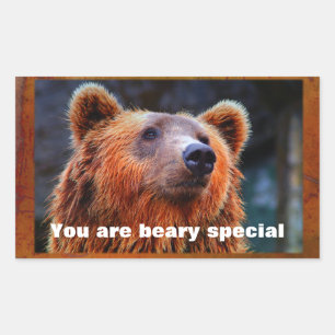 Je bent Beary Special Brown Beer Wildlife Portrait Rechthoekige Sticker