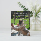 Je bent belangrijk voor het Duitse Briefkaart Shep (Staand voorkant)