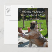 Je bent belangrijk voor het Duitse Briefkaart Shep (Voorkant / Achterkant)