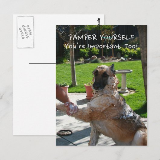 Je bent belangrijk voor het Duitse Briefkaart Shep (Voorkant / Achterkant)