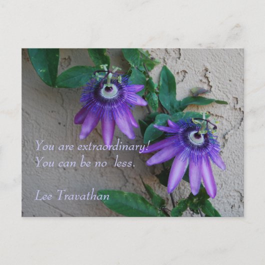 Je bent buitengewoon. Je kunt niet minder zijn. Briefkaart (Voorkant)