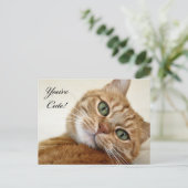 Je bent Cute. Briefkaart (Staand voorkant)