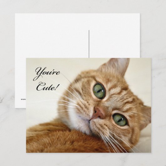 Je bent Cute. Briefkaart (Voorkant / Achterkant)