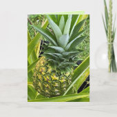 Je bent de ananas van mijn oogWenskaart Kaart (Voorkant)