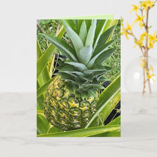 Je bent de ananas van mijn oogWenskaart Kaart (Gele Bloem)