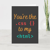 JE BENT DE CSS VOOR MIJN HTML - WEB DEV PUN