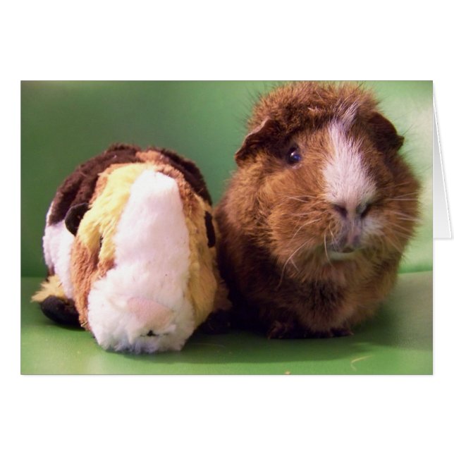 Je bent de echte deal Card (Voorkant Horizontaal)