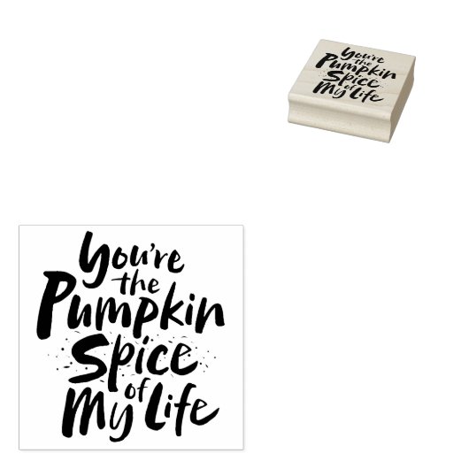 Je bent de pompoenspice van mijn leven - Thanksgiv Rubberstempel (Gestempeld)