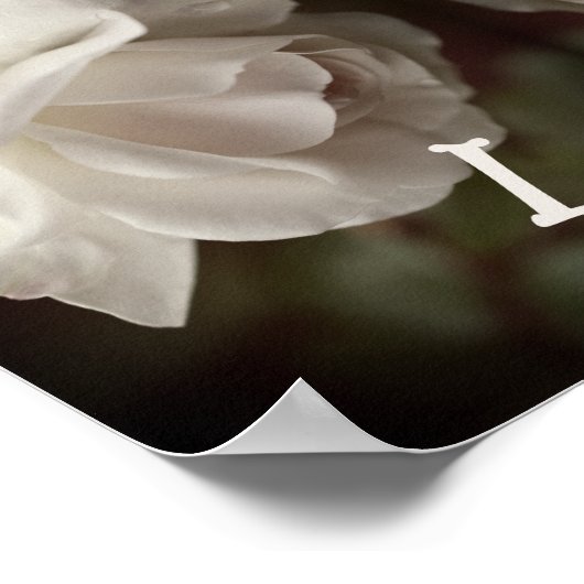 Je bent dol op witte rozen Abstract Poster (Hoek)