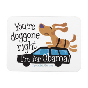 Je bent doorgegaan, ik ben voor Obama! Magneet