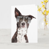 Je bent een coole kattenvriendschaps Kaart (Gele Bloem)