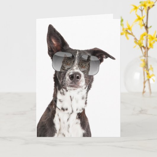 Je bent een coole kattenvriendschaps Kaart (Gele Bloem)