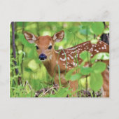 Je bent een Deer Briefkaart (Voorkant)