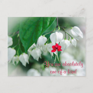 Je bent een eenvormig Briefkaart