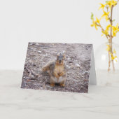 Je bent een moer kaart (Gele Bloem)