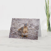 Je bent een moer kaart (Voorkant)