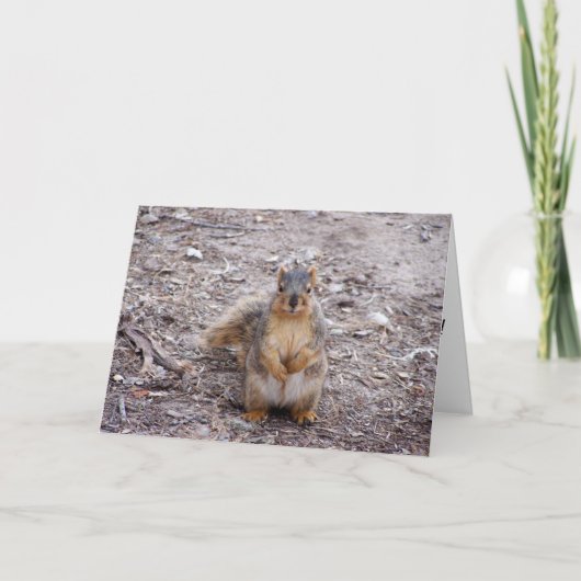 Je bent een moer kaart (Voorkant)