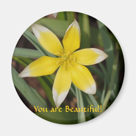 Je bent een mooi-bloem magneet (Voorkant)