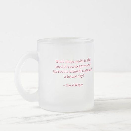 Je bent een mooie vooringenomen Mok (Links)