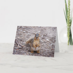 Je bent een Nut Kaart