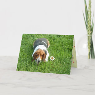 "Je bent een op de miljoen" - een gewoon omdat kaa Kaart