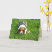 "Je bent een op een miljoen" - een gewoon omdat Ka Kaart (Gele Bloem)