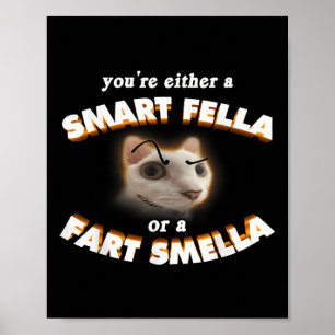 Je Bent Een Slimme Vent Of Een Scheet Stinker Meme Poster
